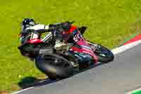 motorbikes;no-limits;november-2022;peter-wileman-photography;portimao;portugal;trackday-digital-images
